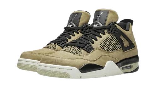 Air Jordan 4 Mushroom