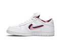 Nike SB Dunk Low Parra